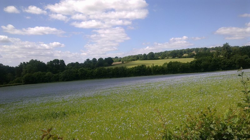 Protest over Ightham Mote's plan for new car park on farming land